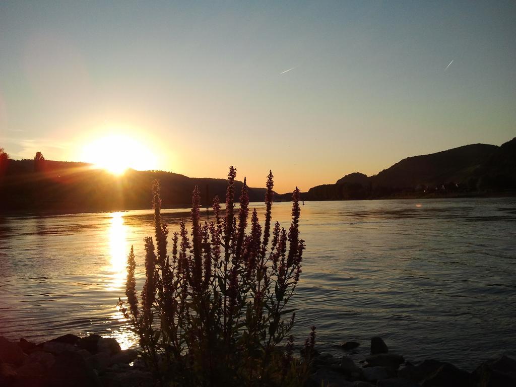 Fe Wo Am Alten Rathaus Andernach Phòng bức ảnh